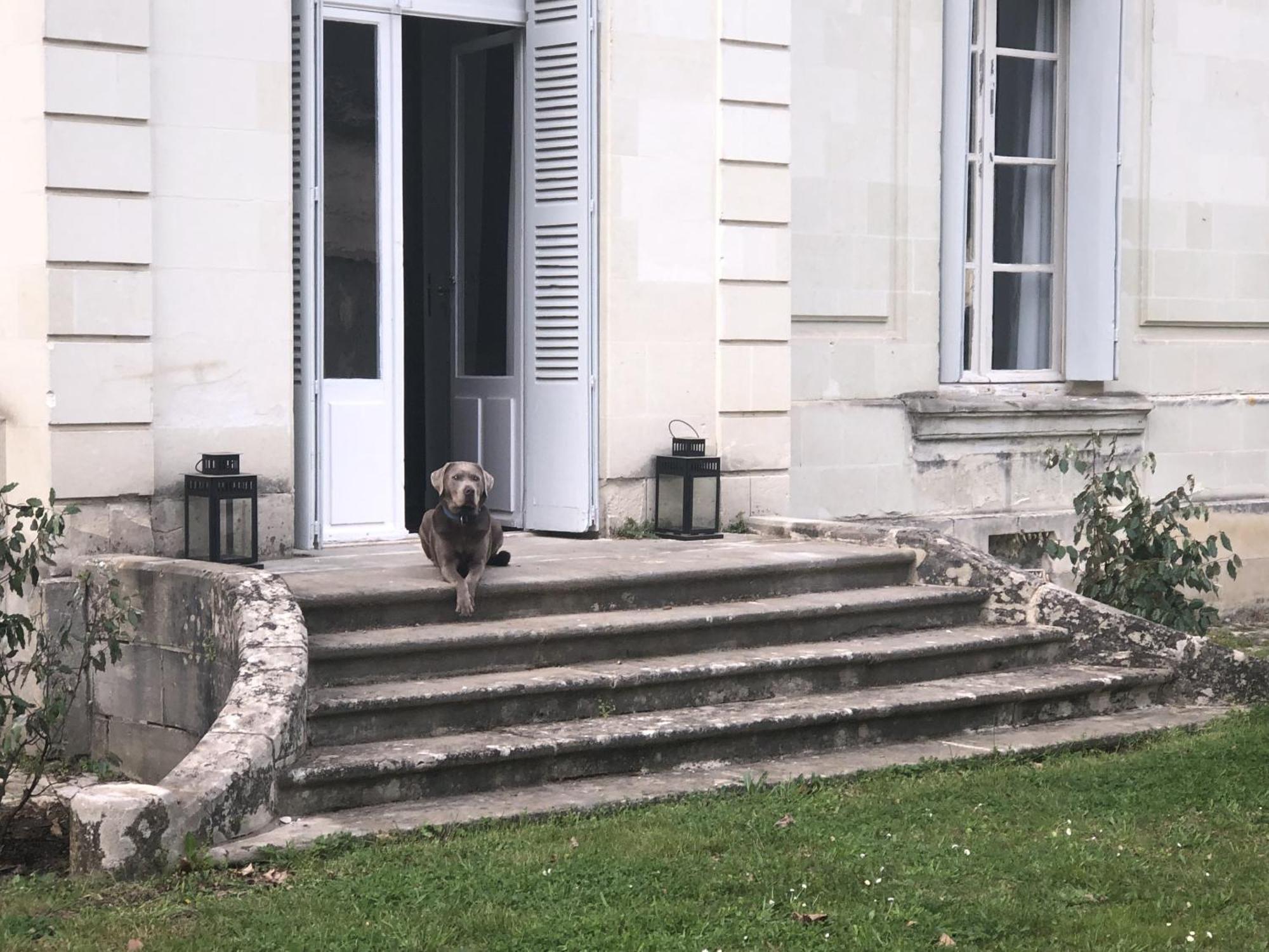 La Grande Carree Bed & Breakfast Saint-Cyr-sur-Loire Ngoại thất bức ảnh